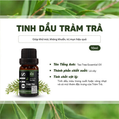 Tinh dầu xông covid